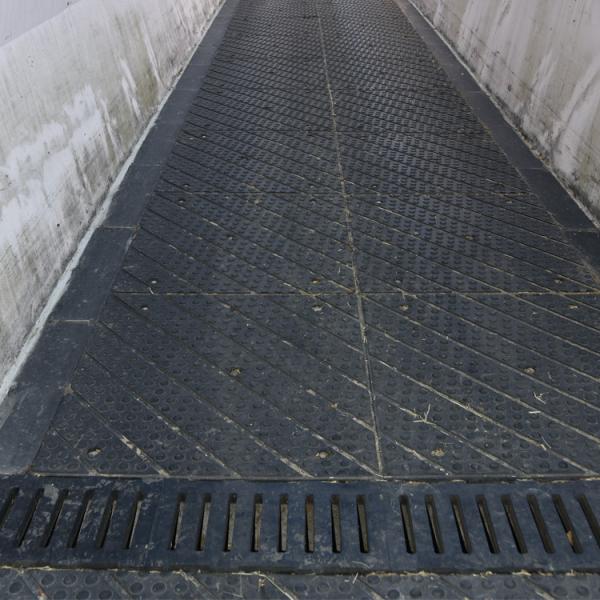 CMC Horse Barn Floor Mats Rustproof Recyclable Non Toxic With Trench Cover
