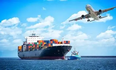 24 / 7 Multilingual Freight Forwarder DDP Shipping US Customs Clearance Services