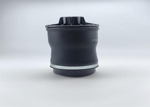 2513200425 Rear Air Suspension Spring Bags For Mercedes Benz ﻿