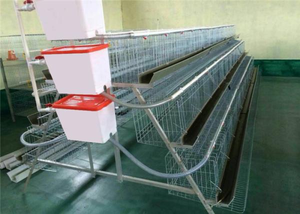 1.88m , 2m , 2.15m , 3m Length Battery Cage For Layers Design For Mozambique