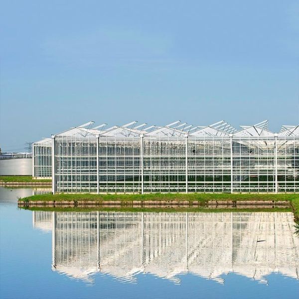 A Frame Outdoor Irrigation Agricultural Solar Powered Greenhouse