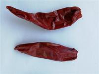Sabor forte secado quente da pimenta de Jinta do gosto doce
