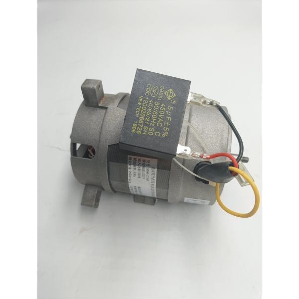 230 Вт асинхронный двигатель переменного тока 2850 об/мин 110/230 В 2 полюсный электрический двигатель соковыжималки