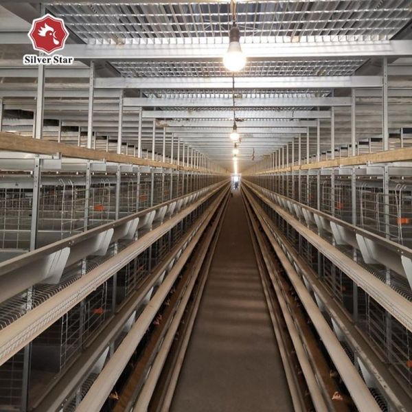 High Capacity 50000 birds H Type Layer Cage System Commercial Poultry Farming H Type Battery Cage