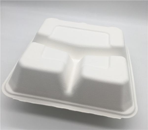 Bento Petroleum Free 8 ×8” biodegradável remove caixas