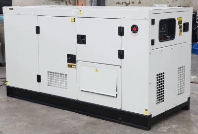 Gerador diesel do dossel silencioso do grupo de gerador 30KVA do dossel 230Volt refrigerar de água