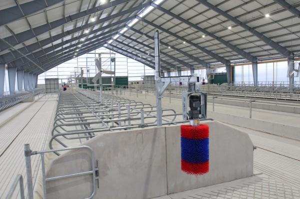 Single Steel Sheet Roofing Wall Customized Horse Stable Construction Building by Chinese