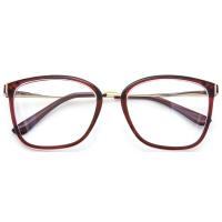 Luz azul do Eyewear TR90 em volta dos espetáculos de aço inoxidável dos quadros óticos