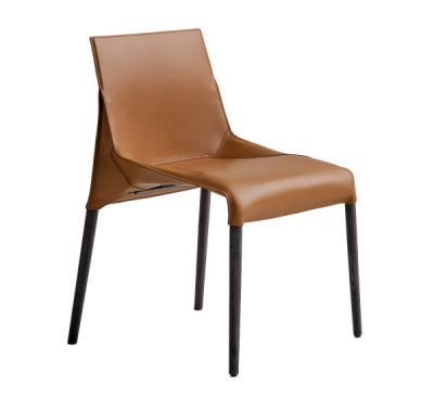 Solid Wood Leg Fiberglass Dining Chair Poliform Seattle Chair S37