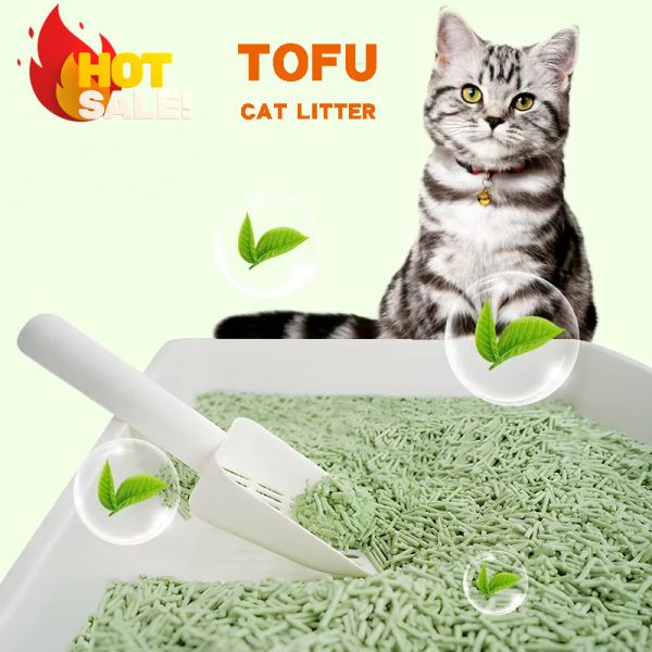 Litière pour chat au tofu au thé vert en gros, faible poussière, emballage personnalisable, sans odeur, stabilité des grumeaux, nettoyage facile à chaque utilisation