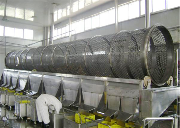 Mushroom Vegetable Canning Equipment Production Line 2 Tons Per Hour