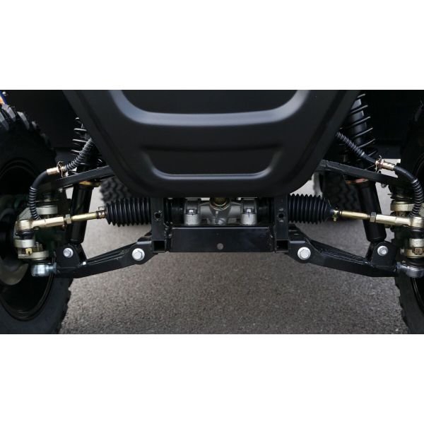 Private Mold Electric Lifted Cart 4 Passenger Chinese Hunting Golf Carts with Rear Disc Brake