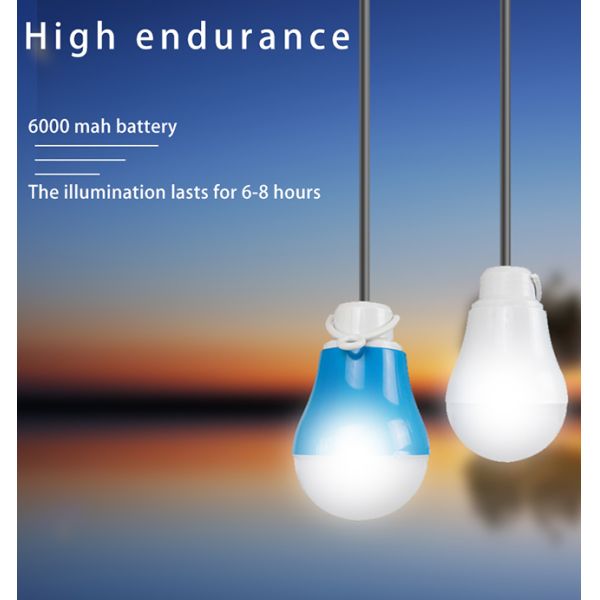 Customized Mobile Portable Solar Light Kits With USB Adapters