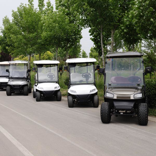 Автомобиль для гольфа с низкой скоростью 4 места литийные батареи бесплатная доставка 4 колеса