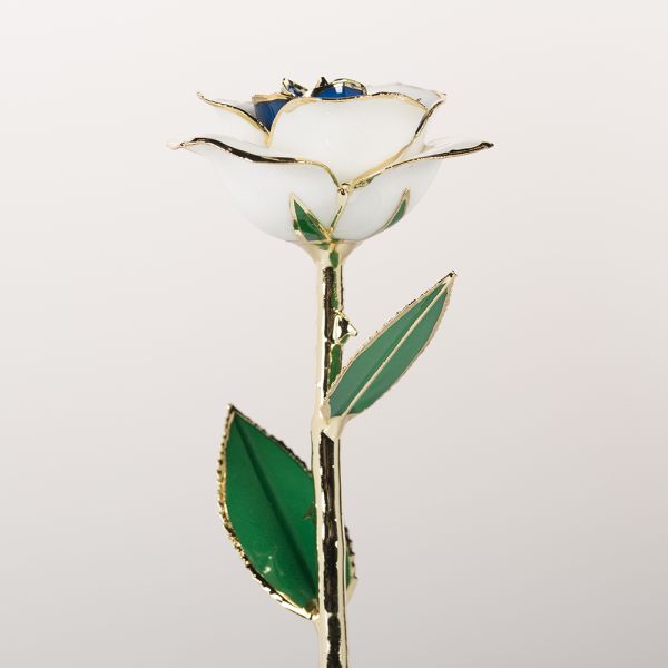 24K Gold Plated Rose Gifts Wholesale Preserved Factory  Gold Rose