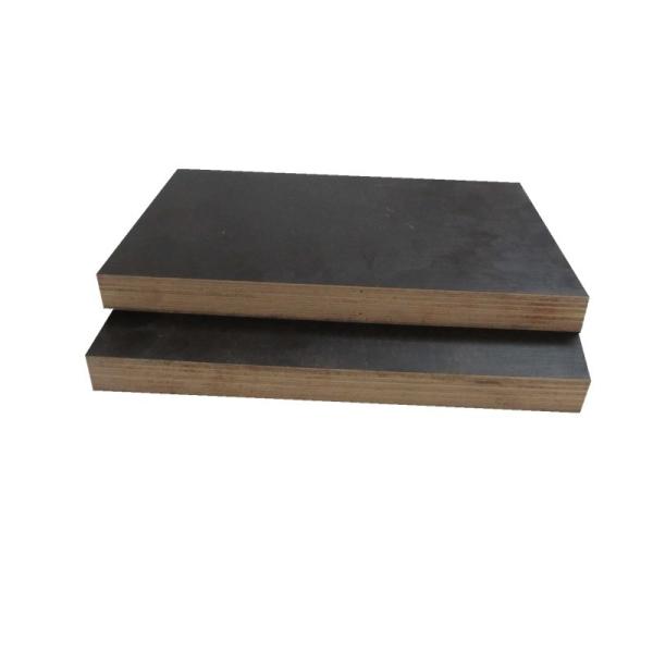 Outdoor Use 18mm 21mm Eucalyptus Film Faced Birch Plywood