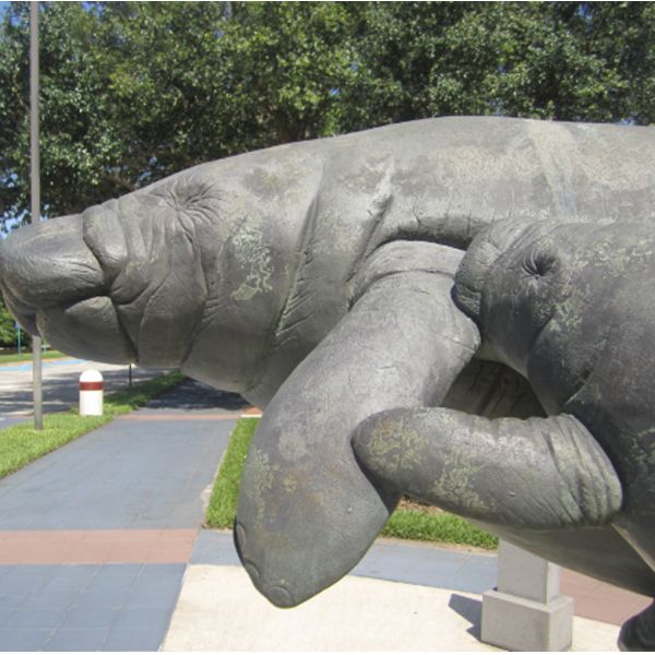 Large Bronze Manatee Sculpture for Coastal Landscape Decor Marine Animal Outdoor Garden Art Statue