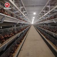 Fil de maille 60-384 poule à œufs, HDG Q235 cage d' élevage à couches