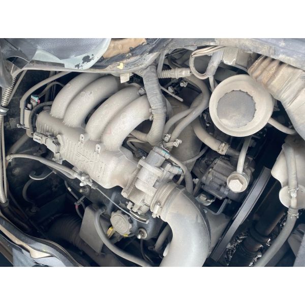 Used 12 Seater Minibus White And Blue Color 11 Seats Golden Dragon Hiace XML6532 Gasoline Engine LHD