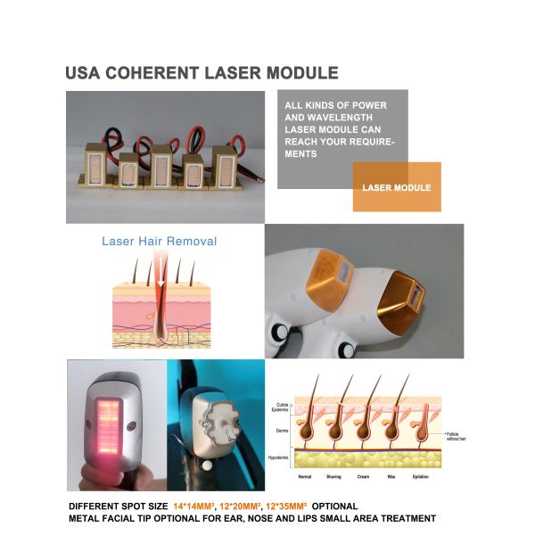 OEM Салон Лазерная эпиляционная машина Диод 808 Лазерная машина Английский языки Опция