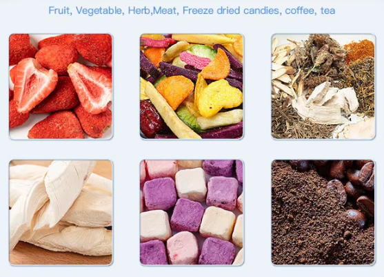 China Factory Industrial Vacuum Lyophilizer for Health Food and Pet Food Freeze Dry Machine