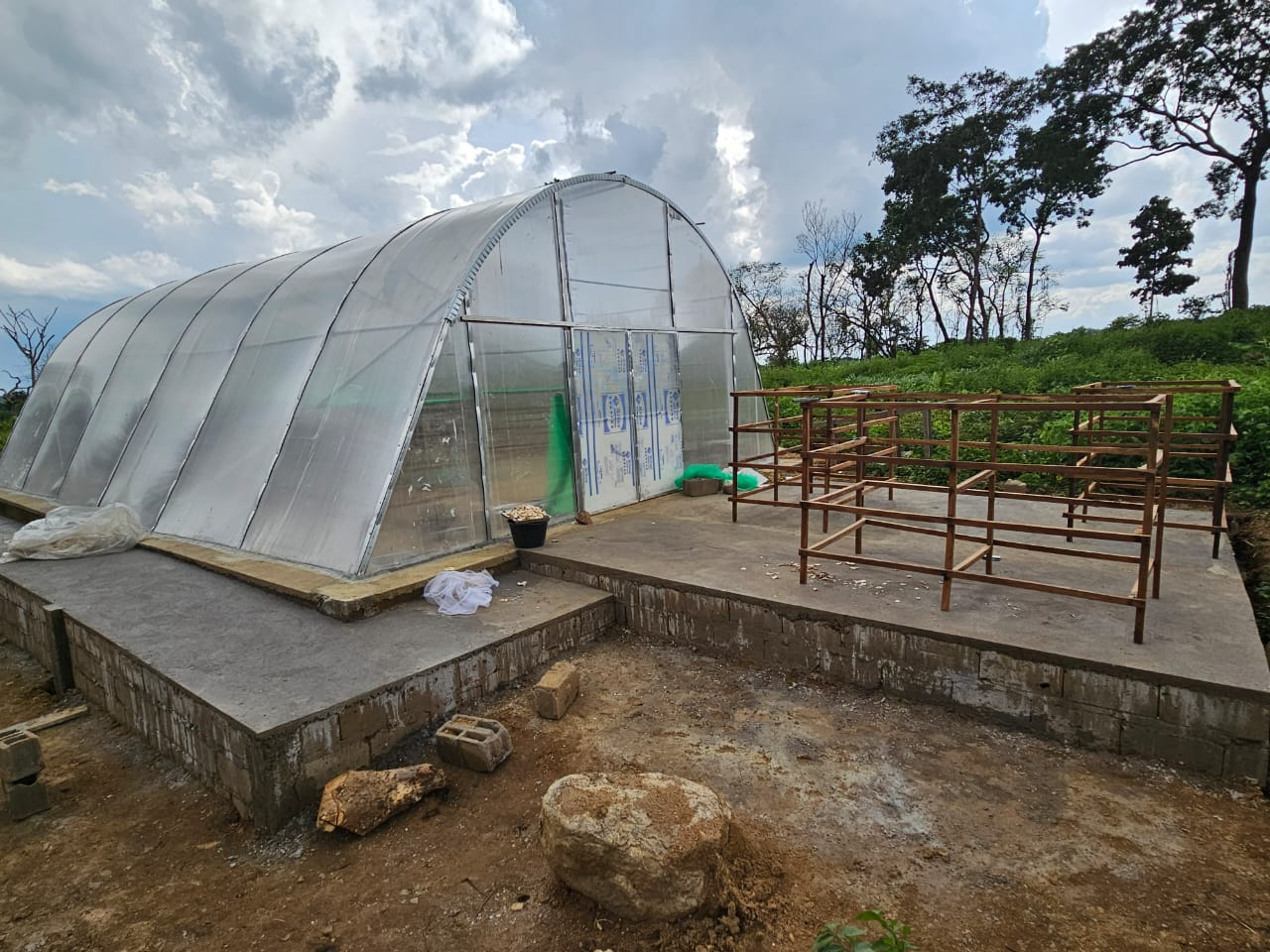 Drying Greenhouse with UV Protection and Ventilation for Herbs Vegetables and Fruits