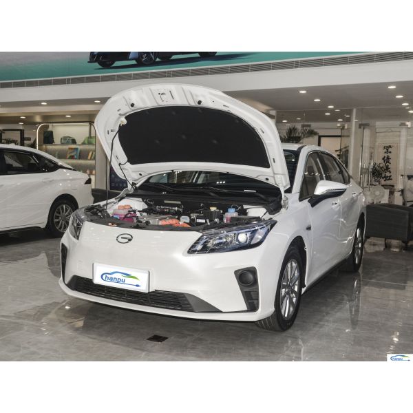 Electric Utility Vehicle S-2023 Model 530 for Aion 4805*1880*1545MM