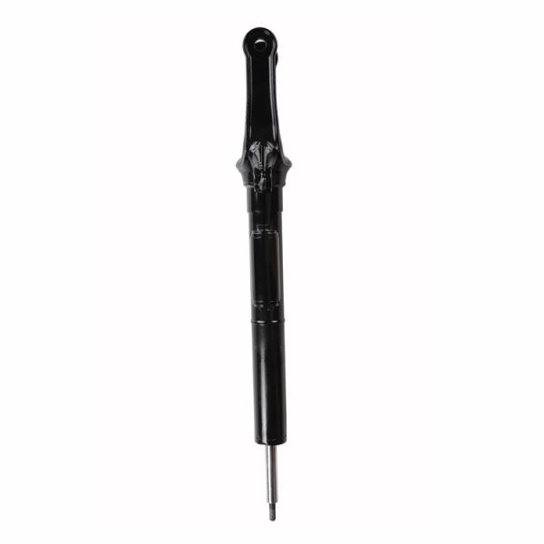 Germany Auto Parts Air Suspension System 2513200730 Air Suspension Strut