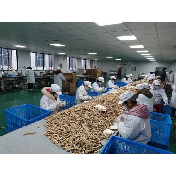 Biodegradable Eco Friendly Disposable Forks Bamboo 170mm natural color