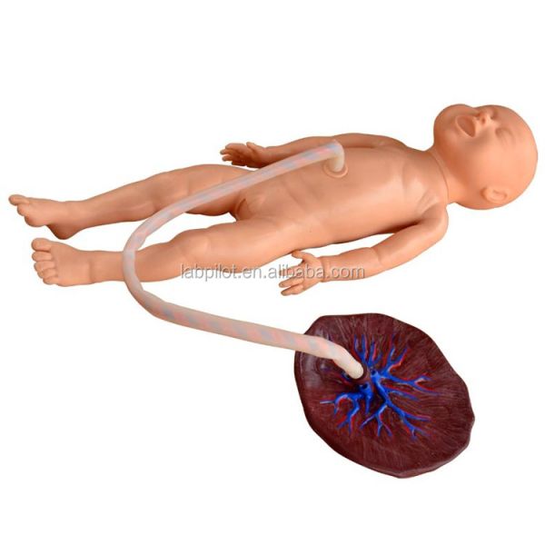 Enhanced Newborn Baby Care with Advanced Neonatal Umbilical Cord Nursing Manikin