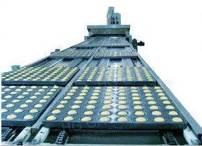 PD800 Cup Cake Custard Muffin Madeline Cake Production Line Cup Cake Making Machine Cup Cake Bakery Equipamento de máquinas