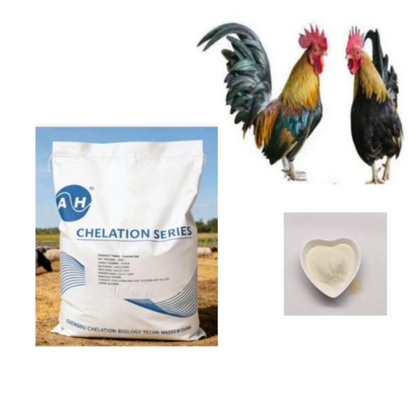 Customized Animal Feed Additives Organic Minerals Cu, Fe, Zn, Mn, Co, I, Se ,Mg, Calcium Amino Acid Chelated Vitamins Formulations