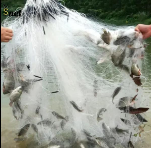 カスタム漁網 粘着性のある網は 簡単に割れない 魚の流出を防ぐために 漁網を購入する
