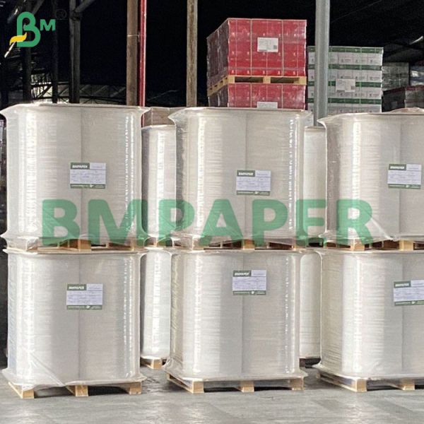 Food Safe Water Resistant Biodegradable Straw Paper for Drinking