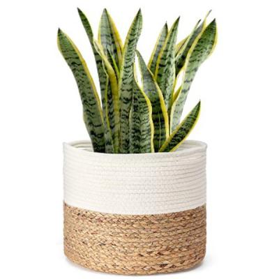 cesta tecida 10 12 de cesta da planta da corda do algodão plantadores internos do assoalho do potenciômetro de flor para a decoração da casa
