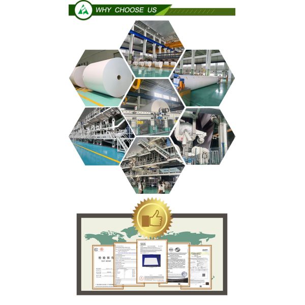 Карточная доска Ningbo C2S с двусторонним покрытием для печати или коробки в листах или рулонах