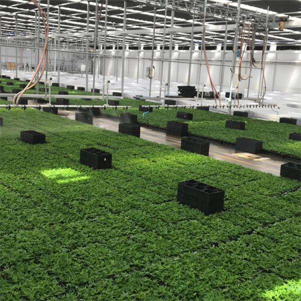 Poly Tunnel Small Light Dep Automatic Blackout Greenhouse 30 Feet*100 Feet