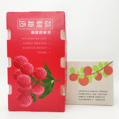 Leiser Anti Rodent Hand Carry Box CMYK Fruit Corrugated Box