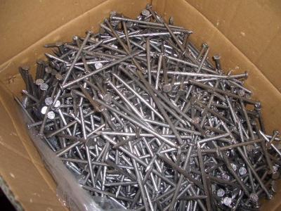 Common nails factory