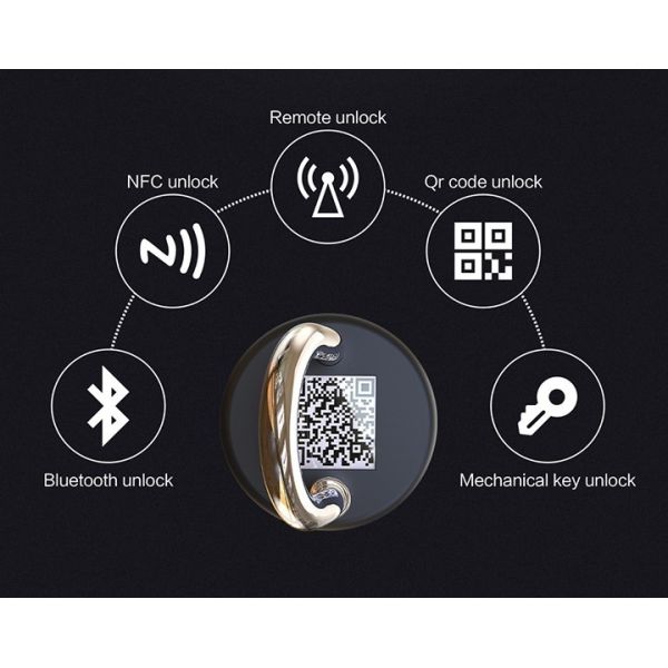 Монитор GPS OEM логистический отслеживая Padlock Nfc Bluetooth для тары для хранения