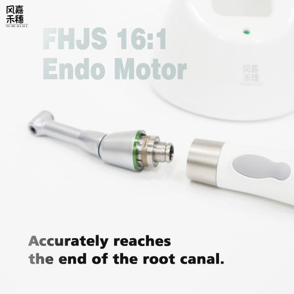 Endo Motor Effortless Root Canal Treatment Start in Seconds 10
