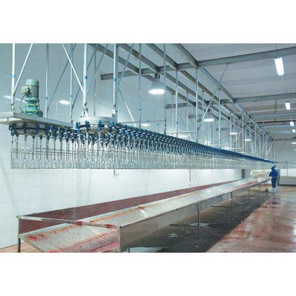 Auto Halal Chicken Slaughtering Line High Productivity Slaughtering Machine For Chicken