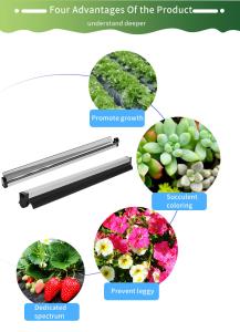Foldable 1.8μMol/J 8W Hydroponics Led Grow Lights For Vegetable Seedlings