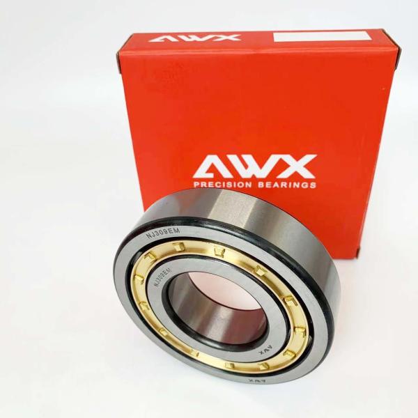 NJ238EM NJ240M NJ242EM NJ244EM Industrial Machinery Cranes Excavators Rolling Part Cylindrical Roller Bearing