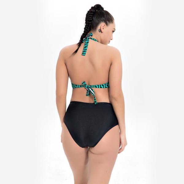 2019 New Plus Size Two piece Swimsuit Strip Print Swimsuit Women Push up 1957
