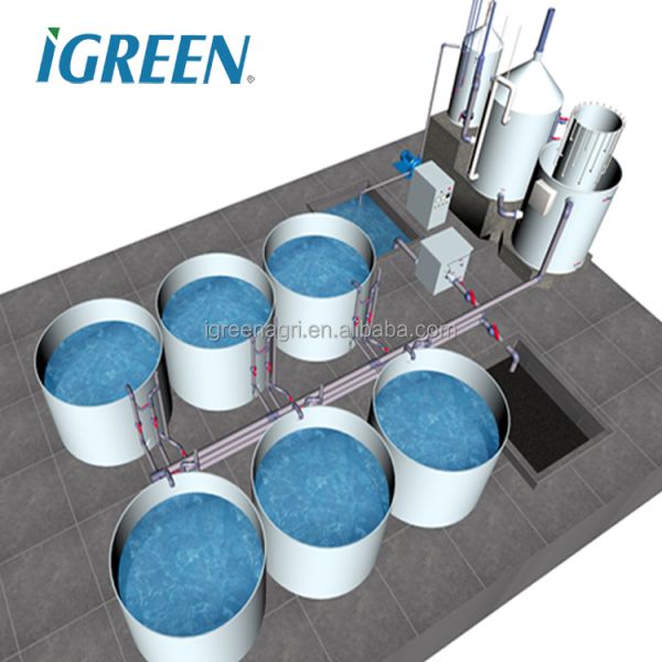 Customized Shape Corrugated Galvanized Steel Fish Pond Fish Tank PVC Tarpaulin for RAS Recirculating Aquaculture System IGREEN