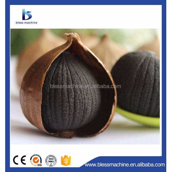 2022 Domestic Village Active Demand Black Garlic Maker with Fast Temperature Rise Speed