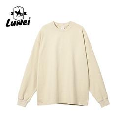 Wholesale Personalized Workout Heavyweight 100%cotton Custom Oversize Premium Street Hoody Basic Hoodie