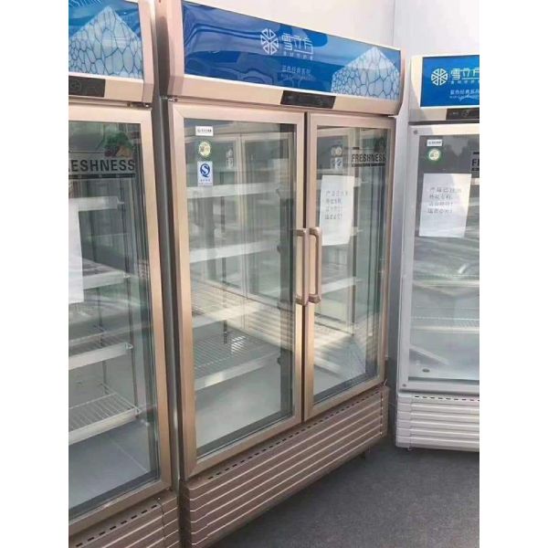Supermarket Beverage Glass Door Display Freezer Golden Frame 2 Door