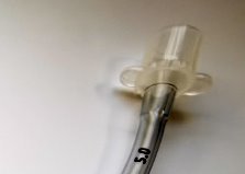 Трубка Rae носовой эндотрахеальной трубки PVC 5.0mm носовая трахеальная Cuffed